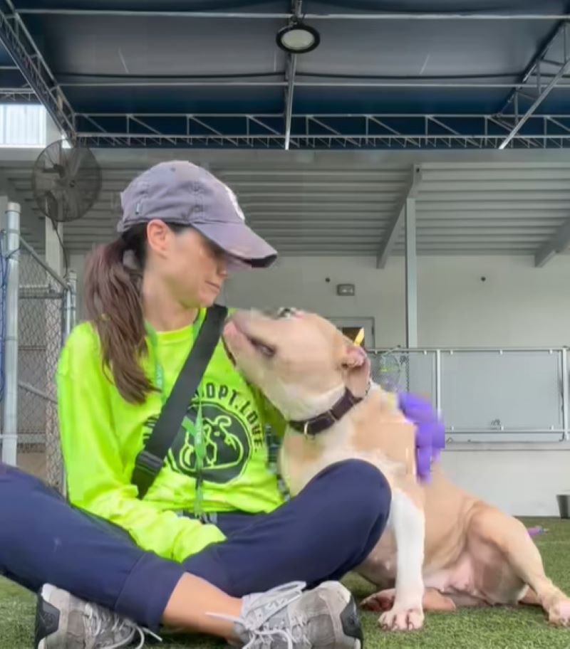 woman and sweet dog