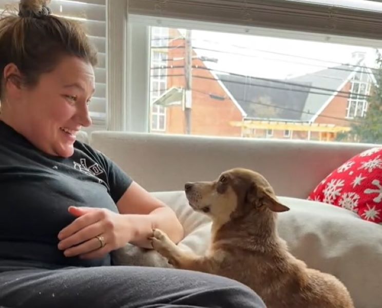 woman and tiny dog