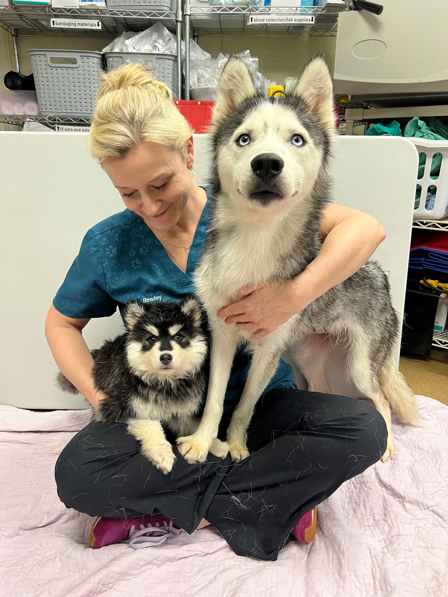 woman and two dogs