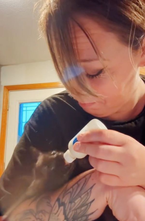 woman feeding a kitten