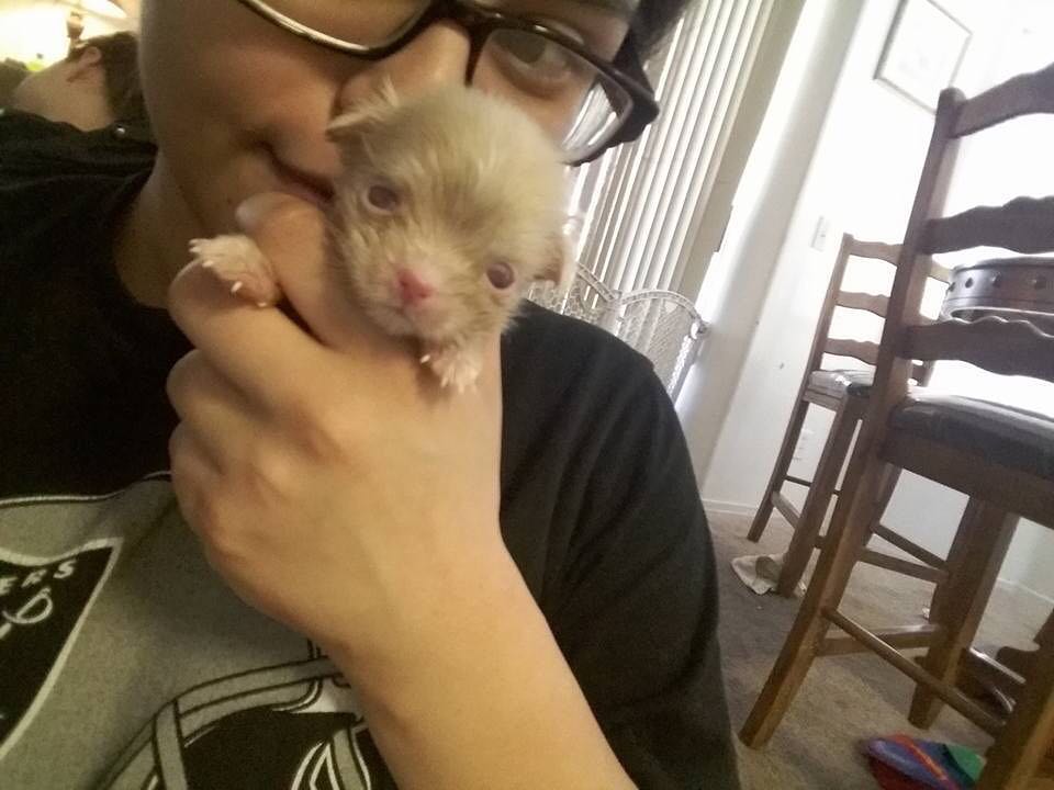 woman holding an albino puppy