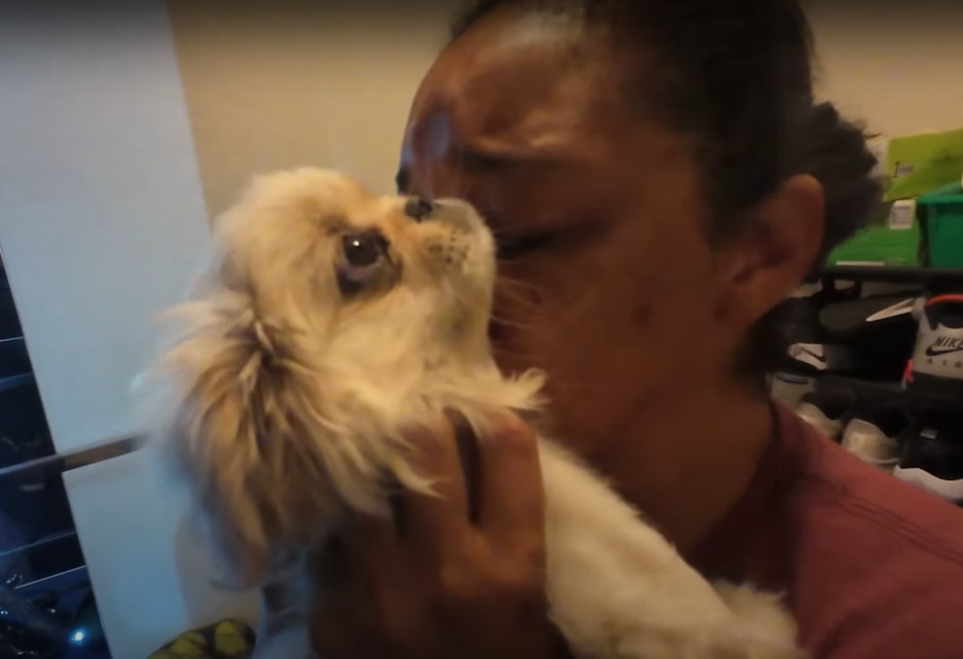 woman kissing a white puppy
