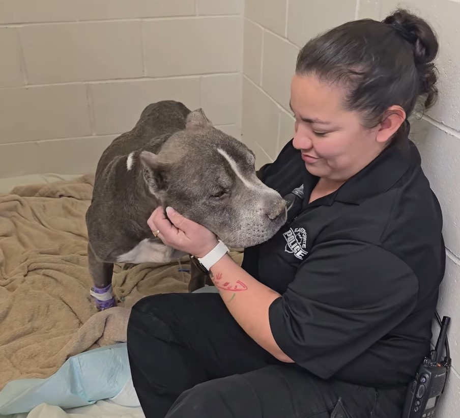 woman petting the dog