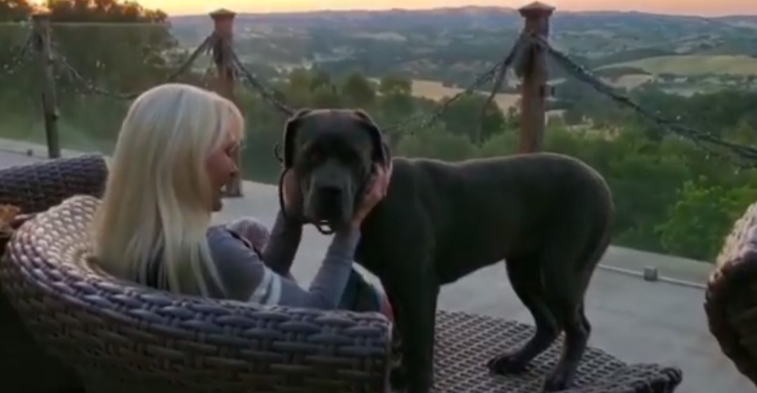 woman petting the dog