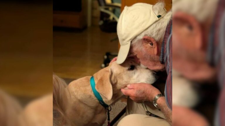 old man and dog