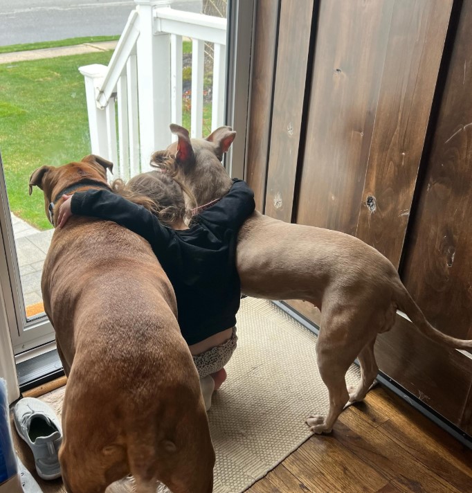 A girl hugged two pit bulls