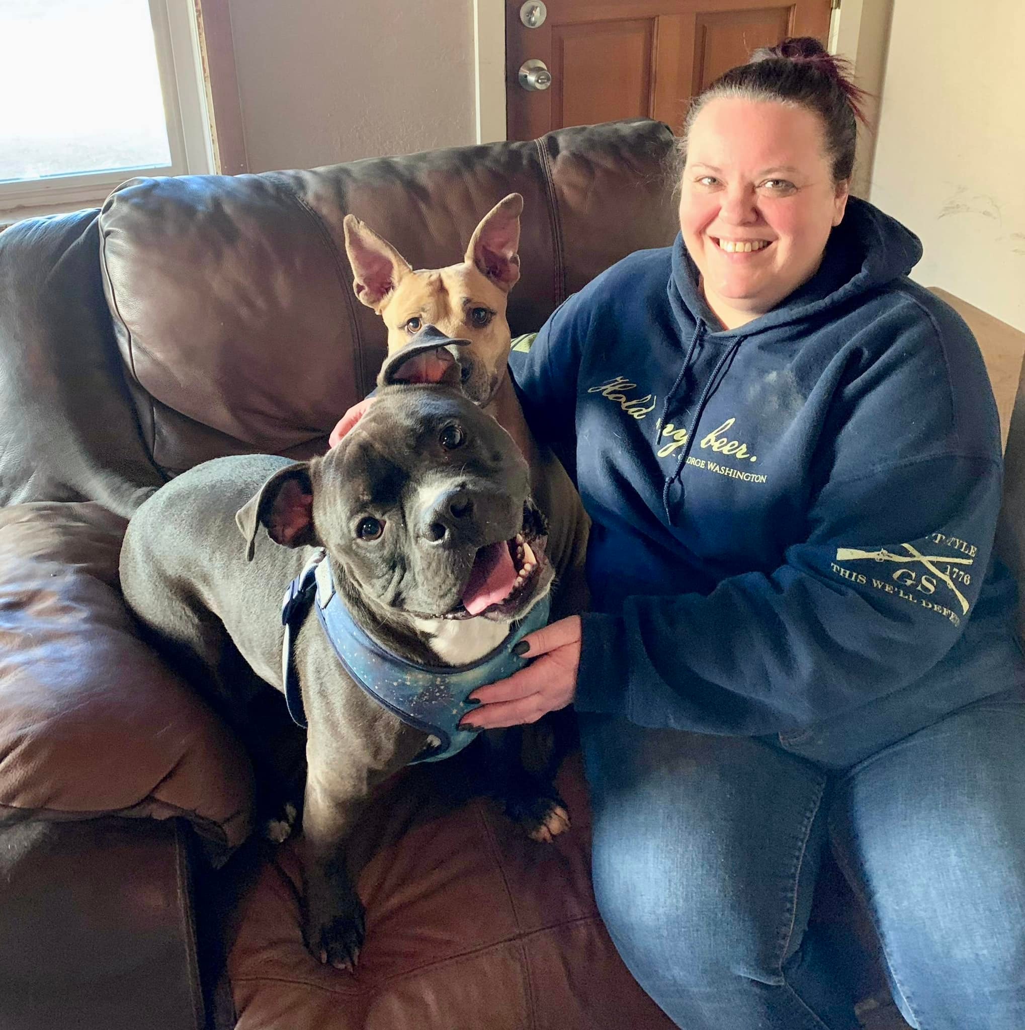 A girl sits with two dogs on a bench