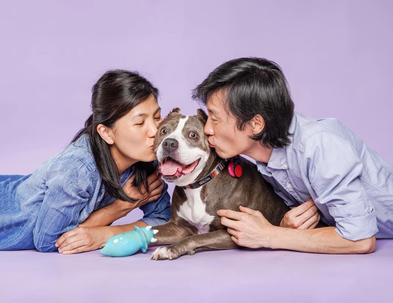 A man and a woman kiss a smiling pit bull