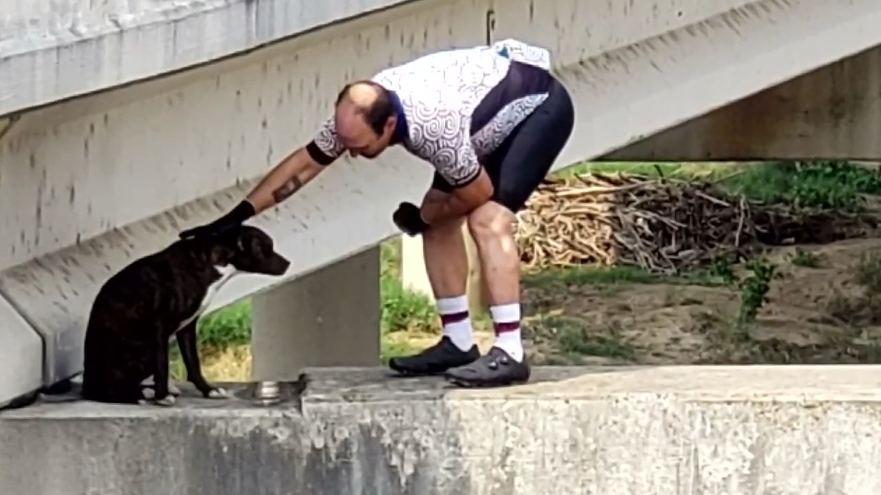 A man caresses a sad dog