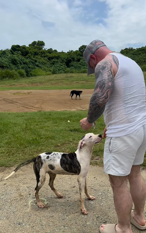 A man feeds a dog from his hand