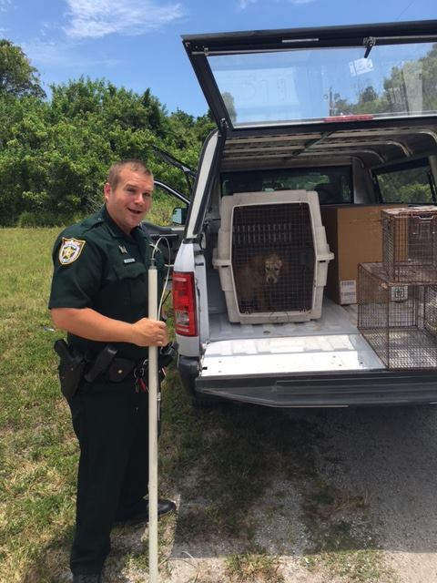 A police officer stands next to a car with a dog in a cage