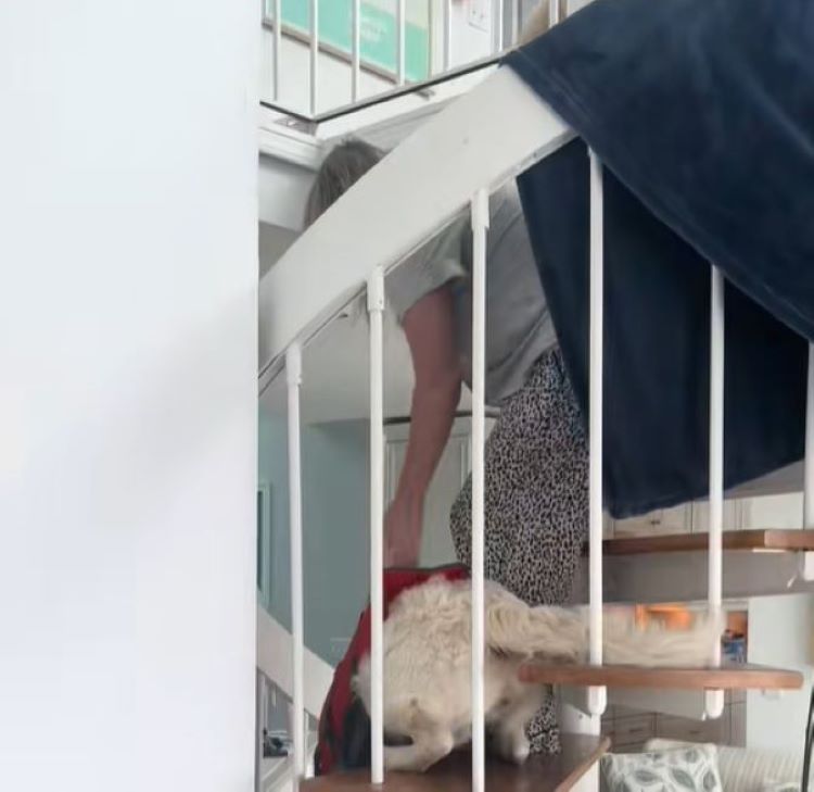 A woman is walking down the stairs with her dog