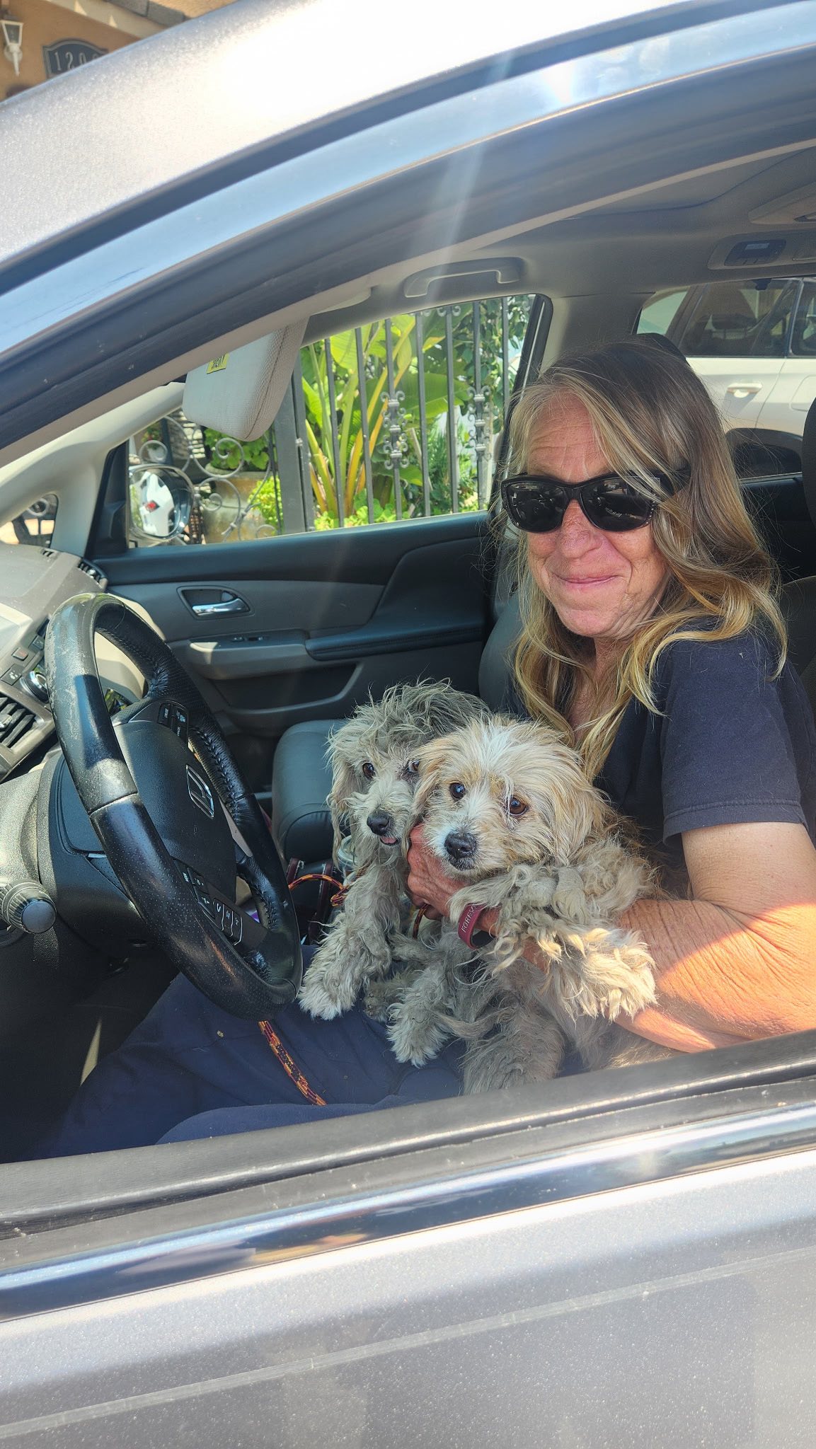 A woman sits in a car and holds two puppies