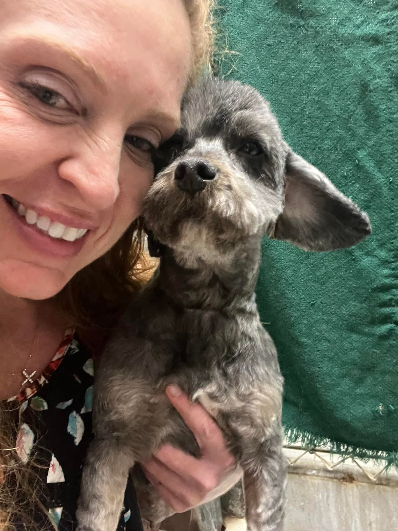 A woman takes a picture with a dog in her arms