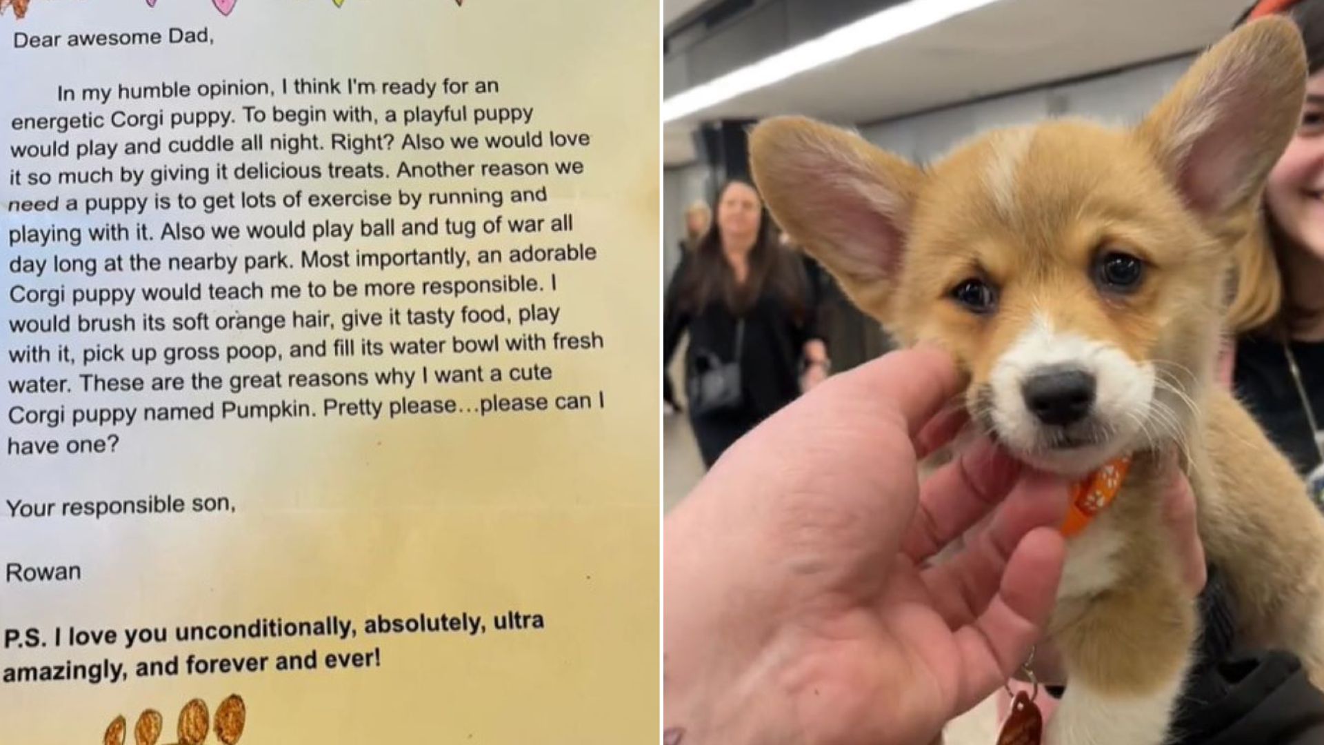 Boy From Washington Wanted A Corgi Puppy, So He Wrote A Letter To His Dad Only To Be Surprised By What Happens Next
