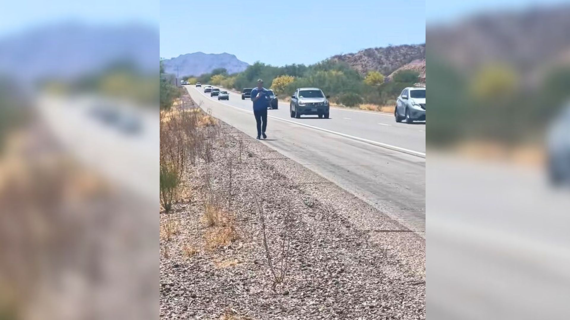 California Couple’s Honeymoon Takes Unexpected Turn When They Encounter A Tiny Creature In Need