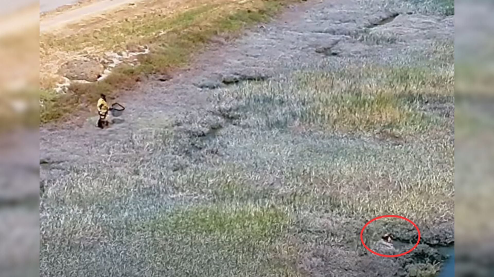 California Firefighters Follow Drone Footage And Find A Dog Battling For Survival In A Canal