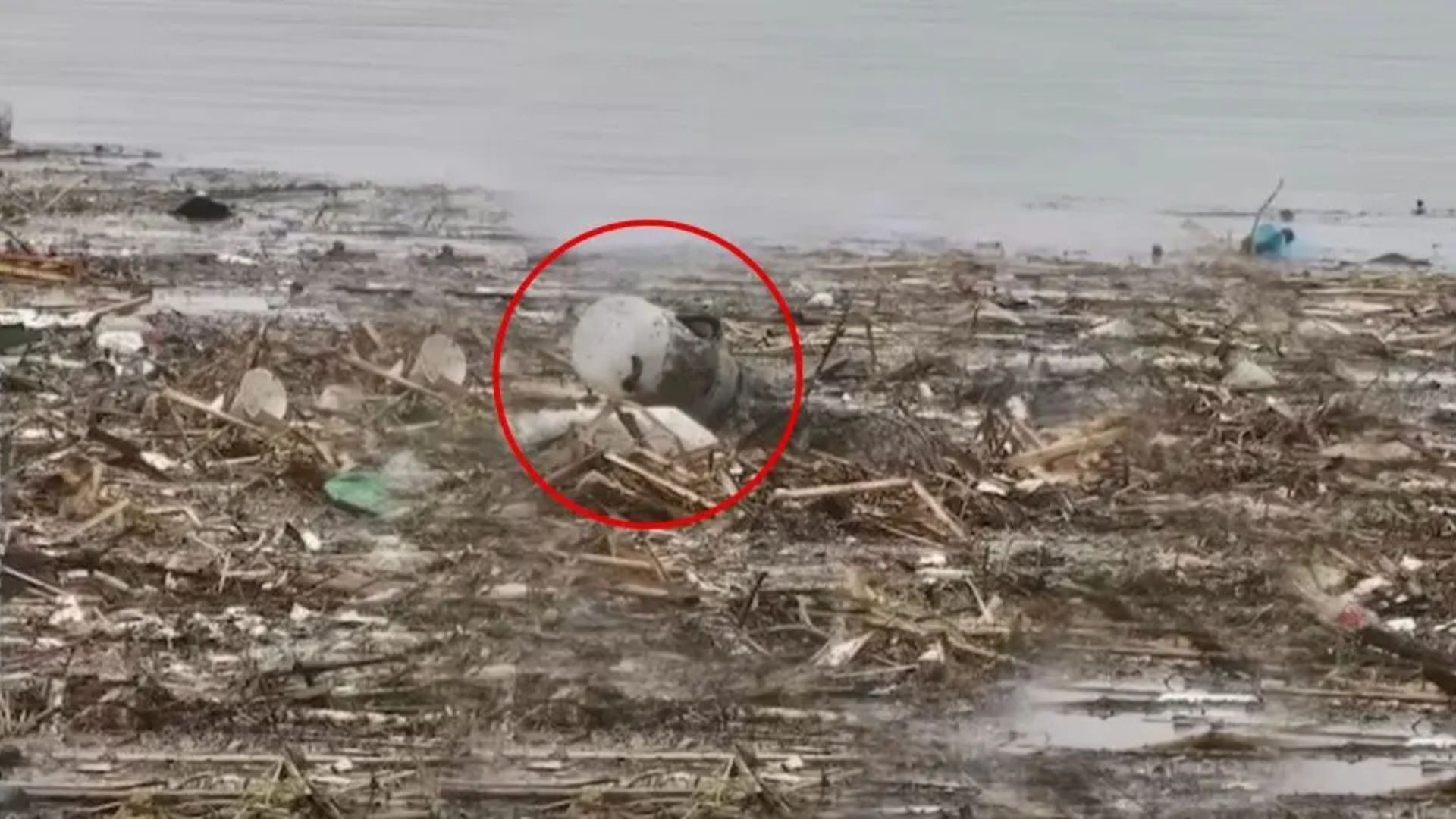 California Rescuers Race Against The Current To Save Animal Trapped In Plastic Container
