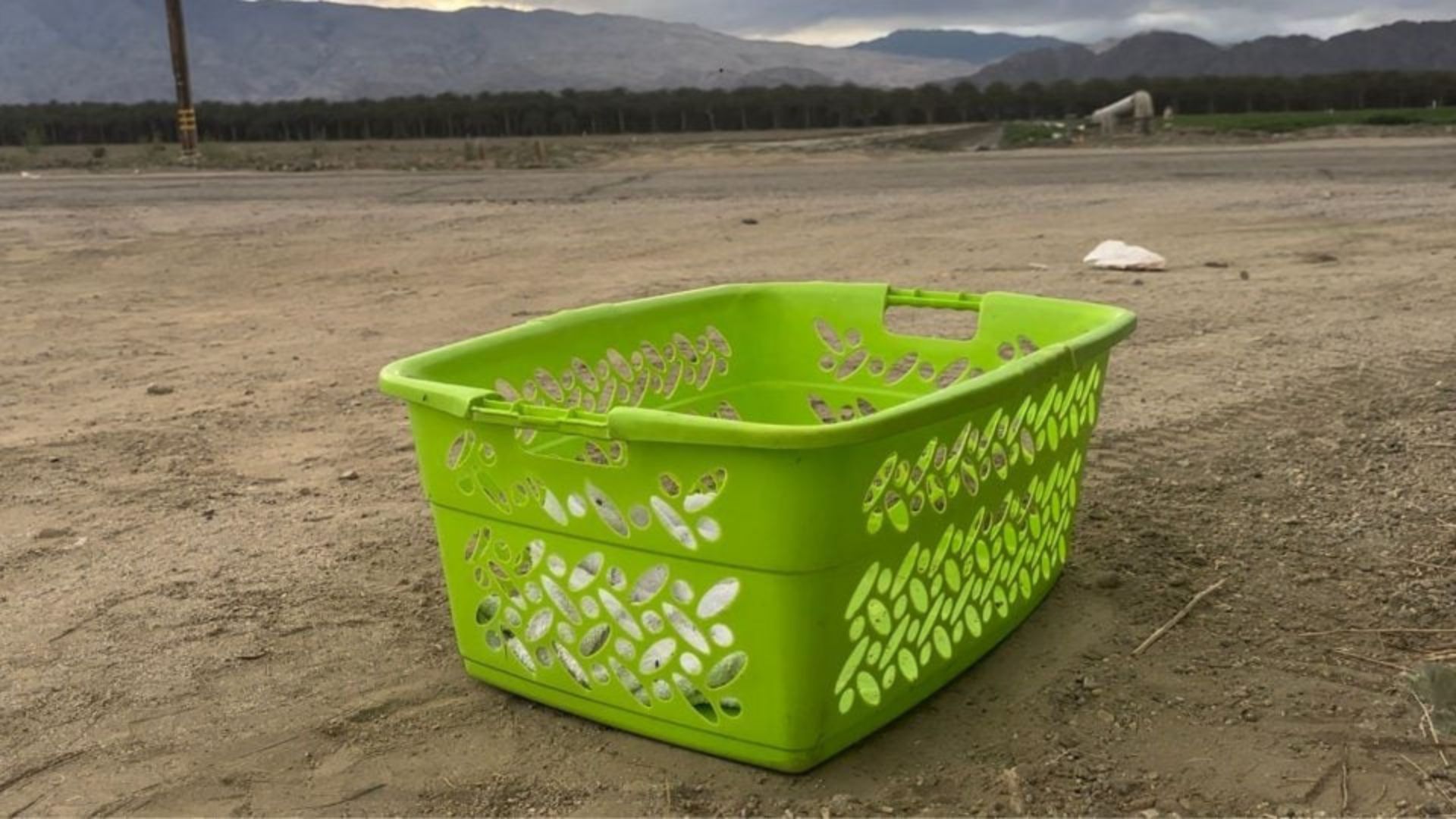 California Woman Slams On Her Brakes When A Basket On The Roadside Reveals A Heartbreaking Sight