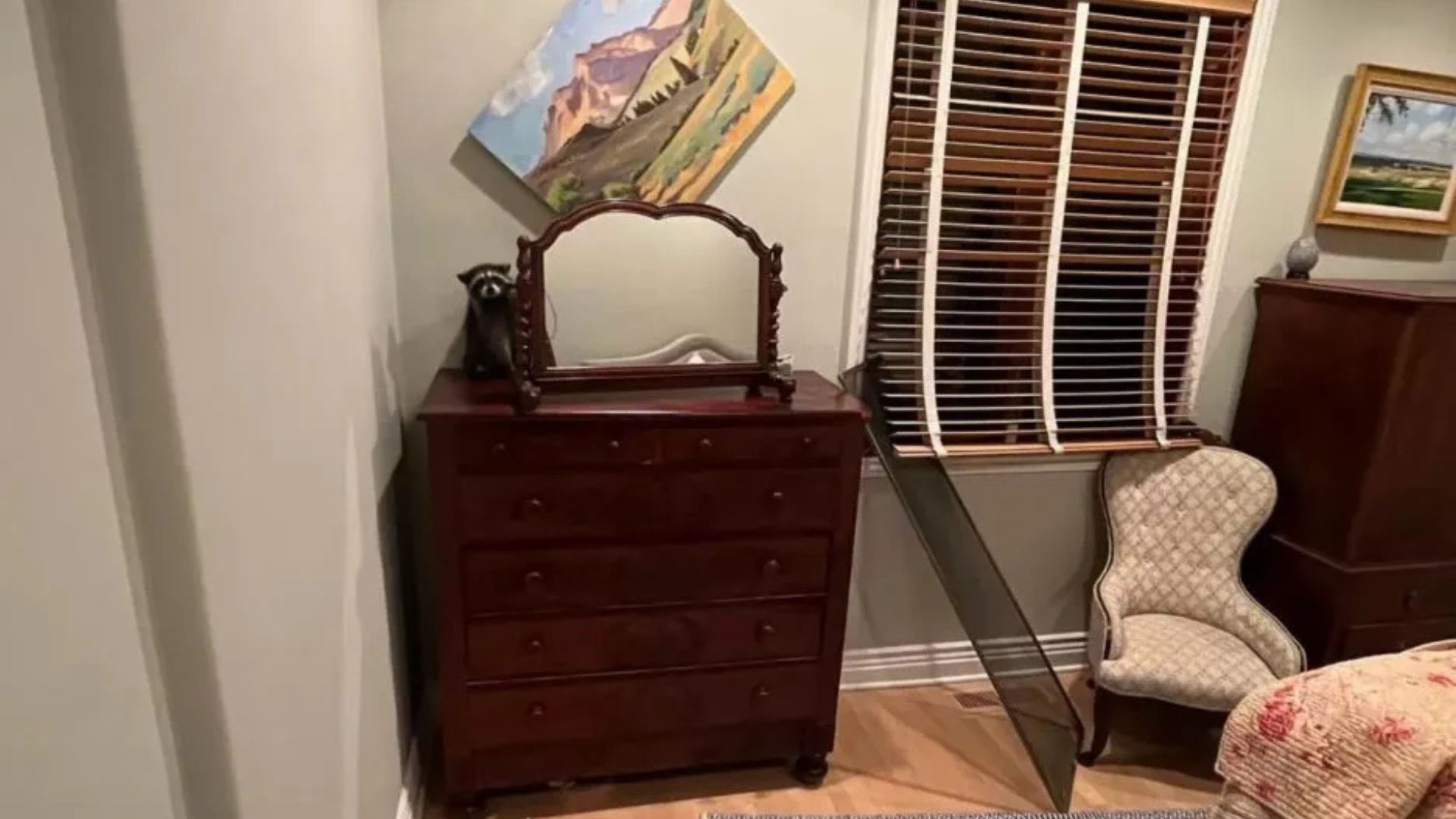 California Woman Wakes To Strange Noises And Finds A Visitor She Never Expected