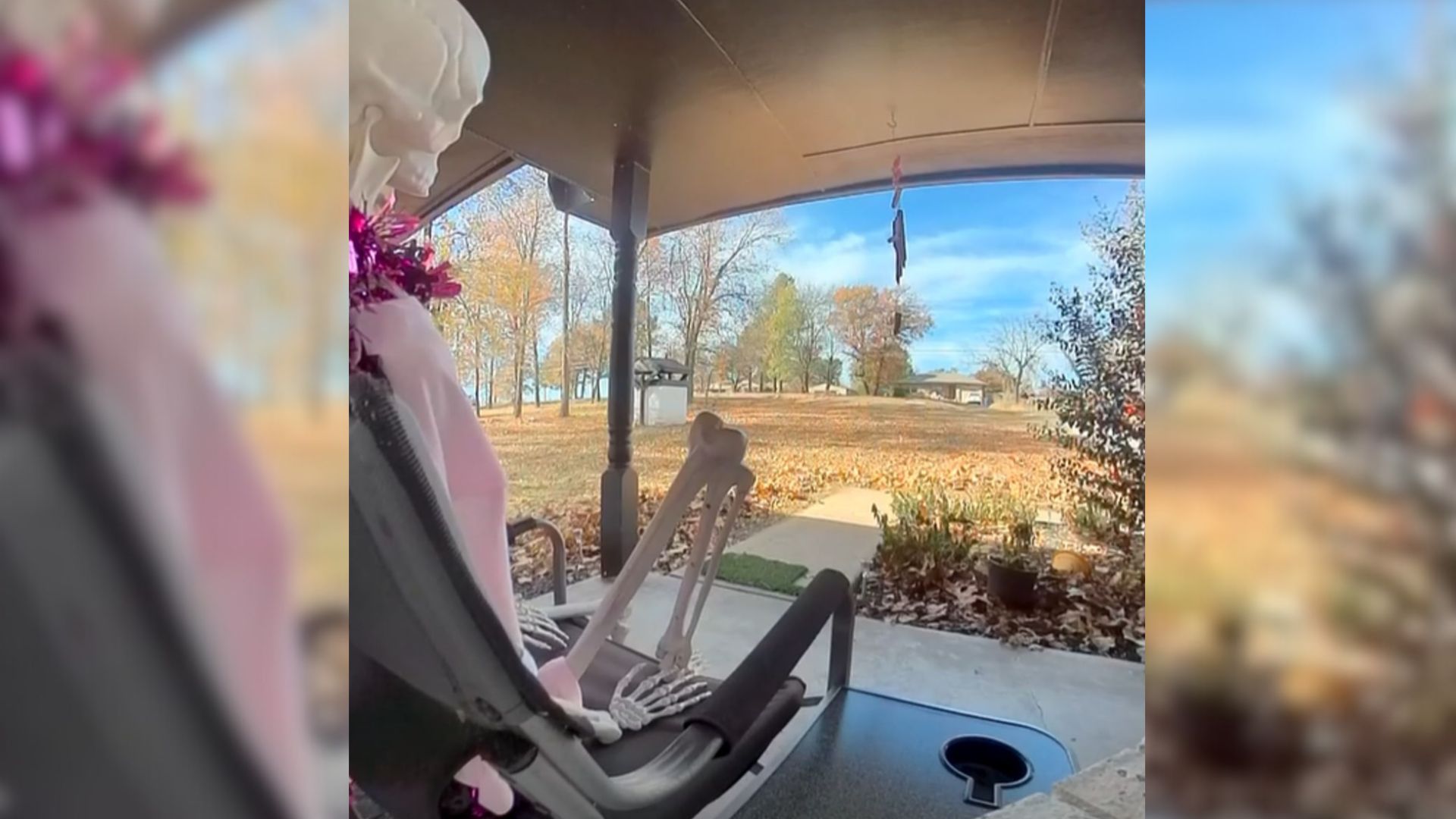 Camera Catches Furry Culprit Stealing Package From Skeleton On Oklahoma Porch