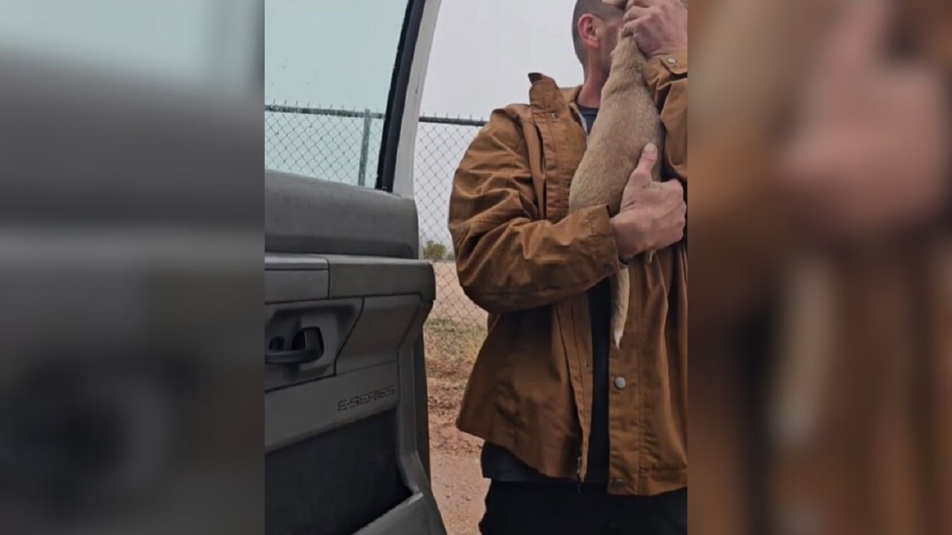 Dog Found Wandering Alone In Arizona Desert Brings An Unexpected Twist To His Rescue