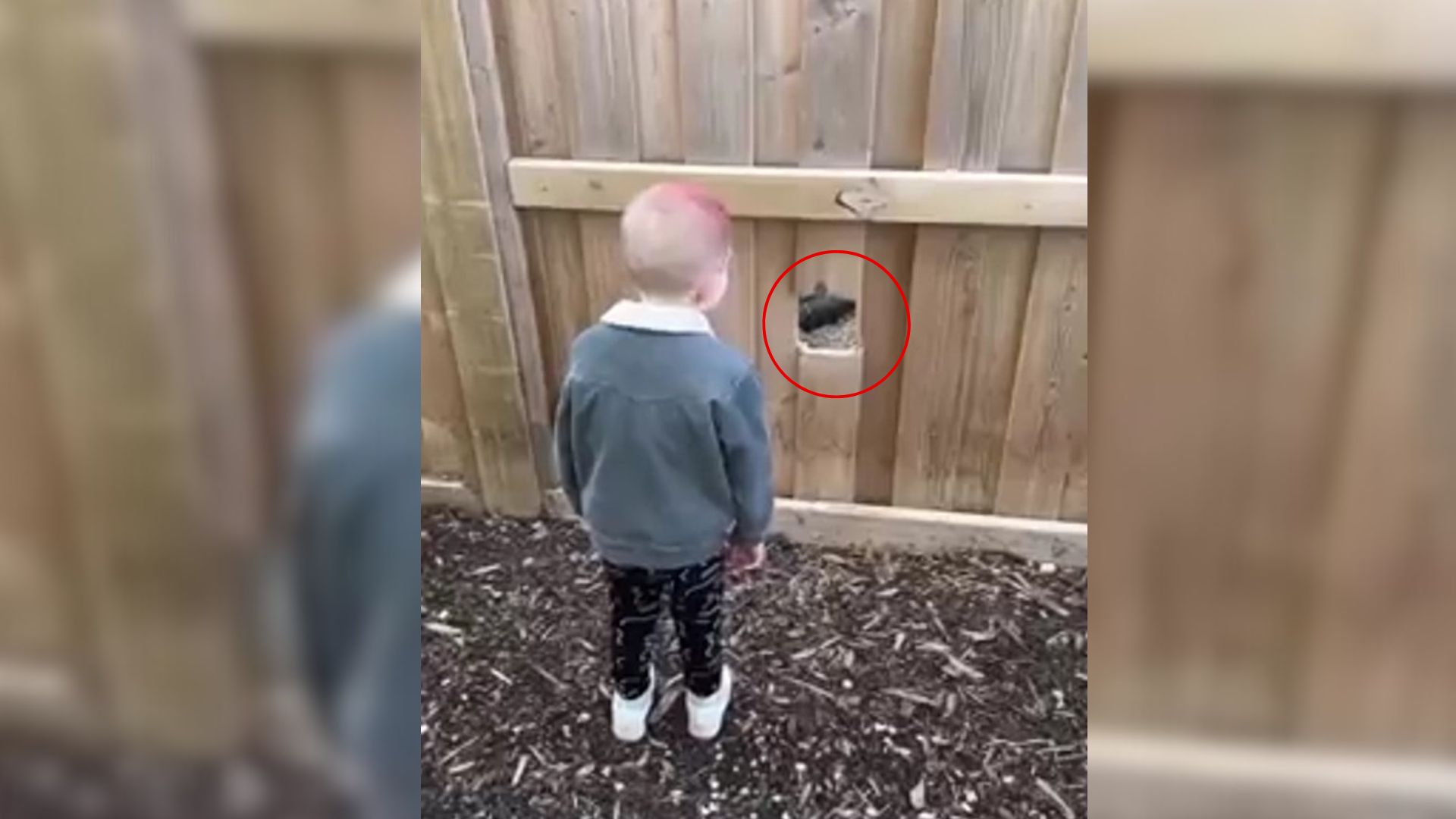 Family From Texas Settles Into Their New Home And Finds An Adorable Unexpected Guest