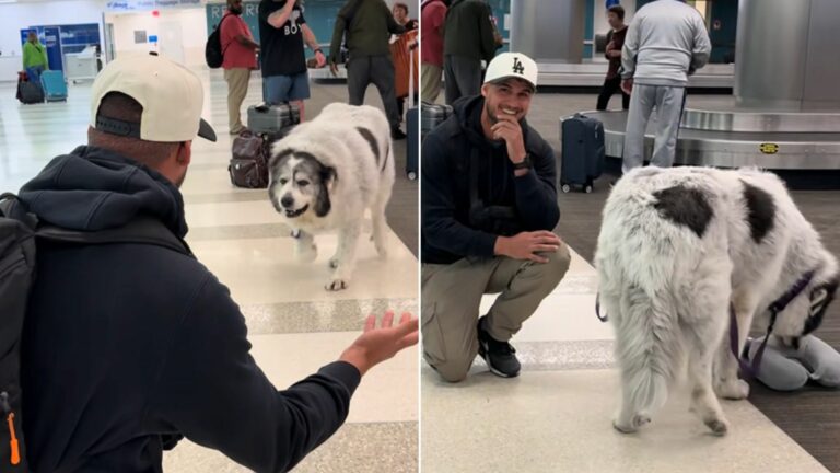 man and dog on airport