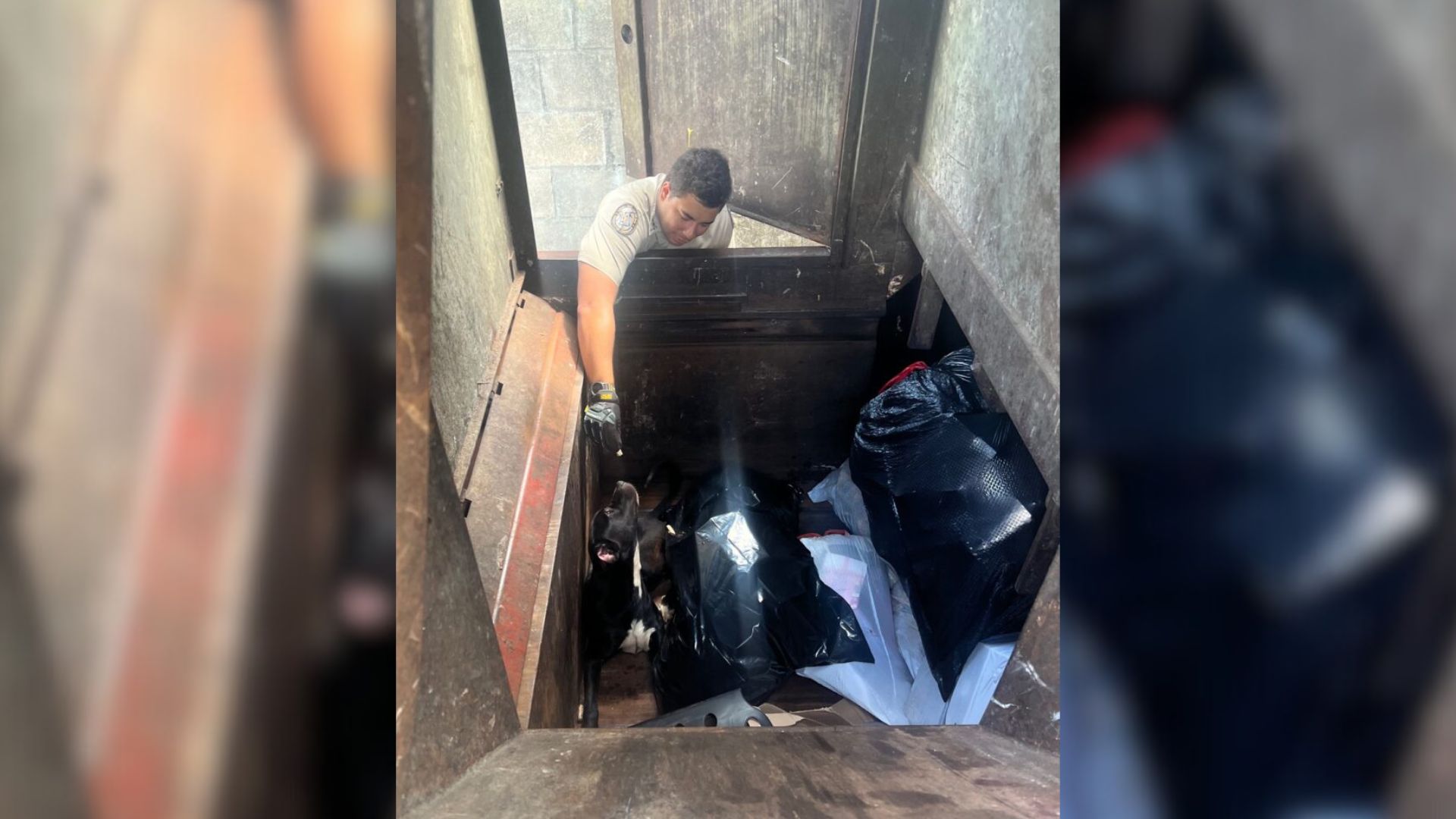Florida Community Stunned By Dog Found Inside Trash Compactor Moments Before A Tragic Outcome