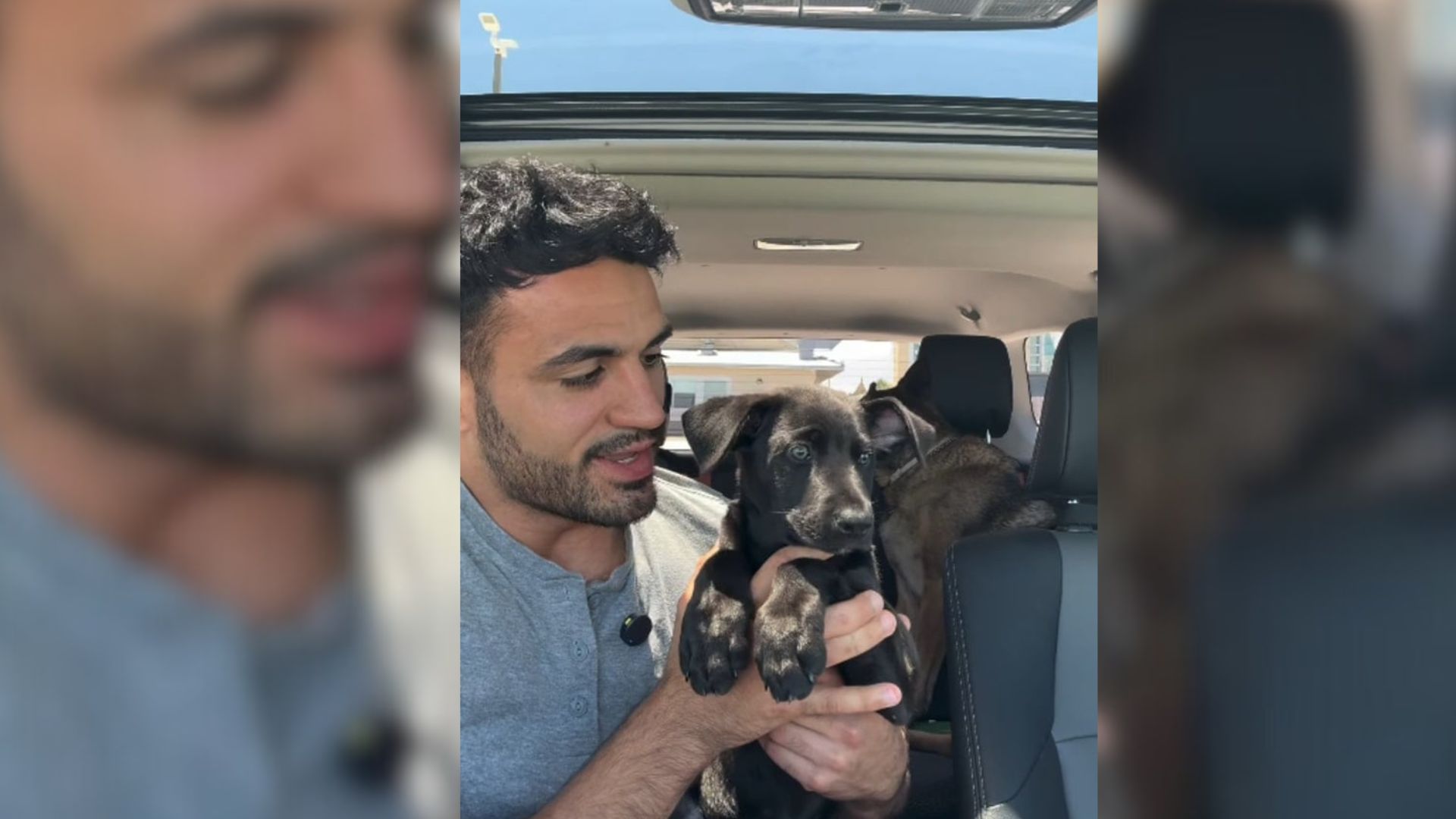 Florida Man Brings Home A Shelter Puppy For A Week And Their Sweet Bond Wins The Internet