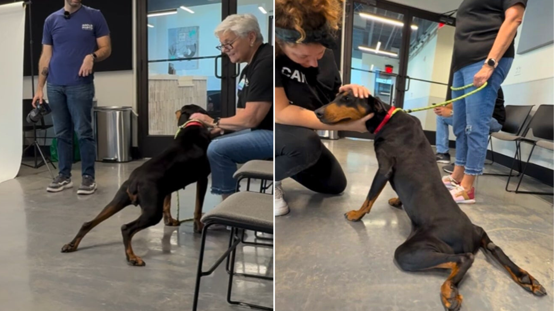 a dog in training with a man and a woman