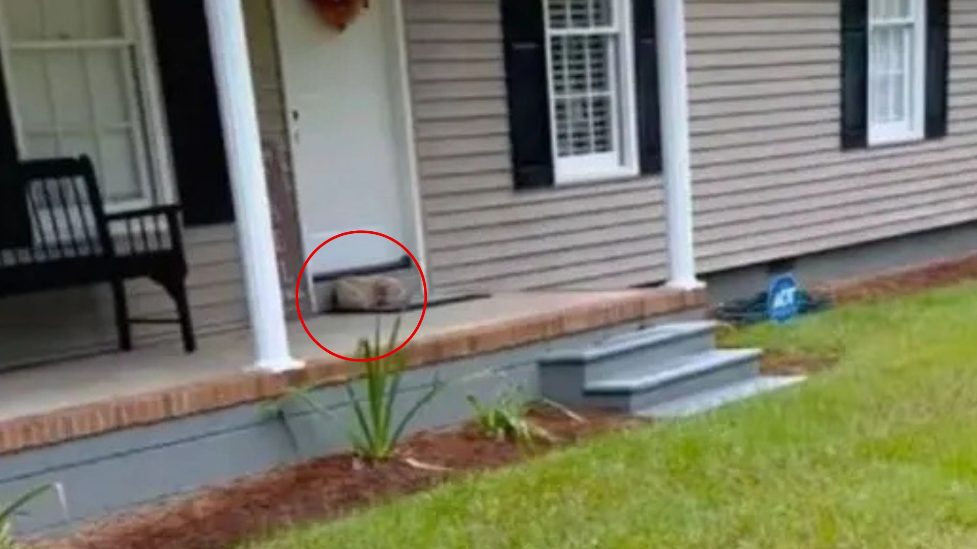 Georgia Woman Comes Home And Freezes When She Spots An Unexpected Visitor On Her Doormat