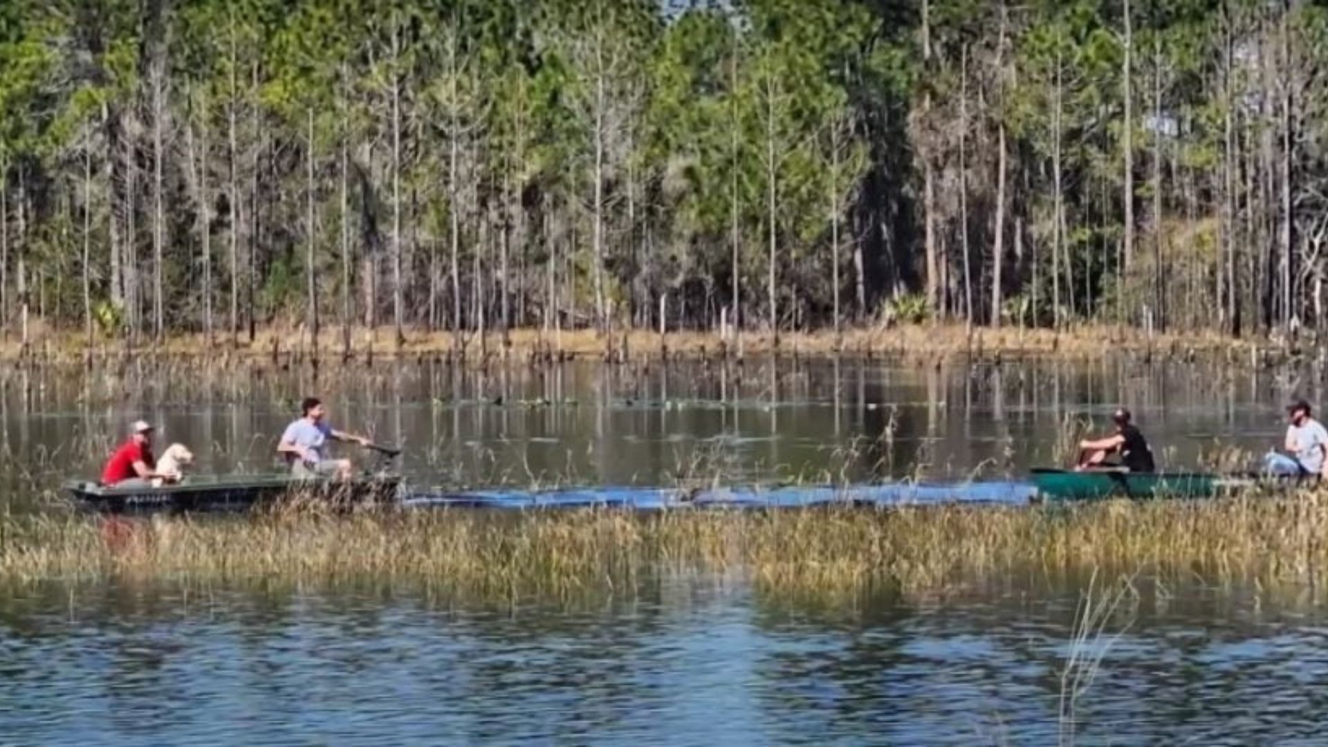 Neighbors Join Forces To Rescue A Struggling Figure In Florida Lake