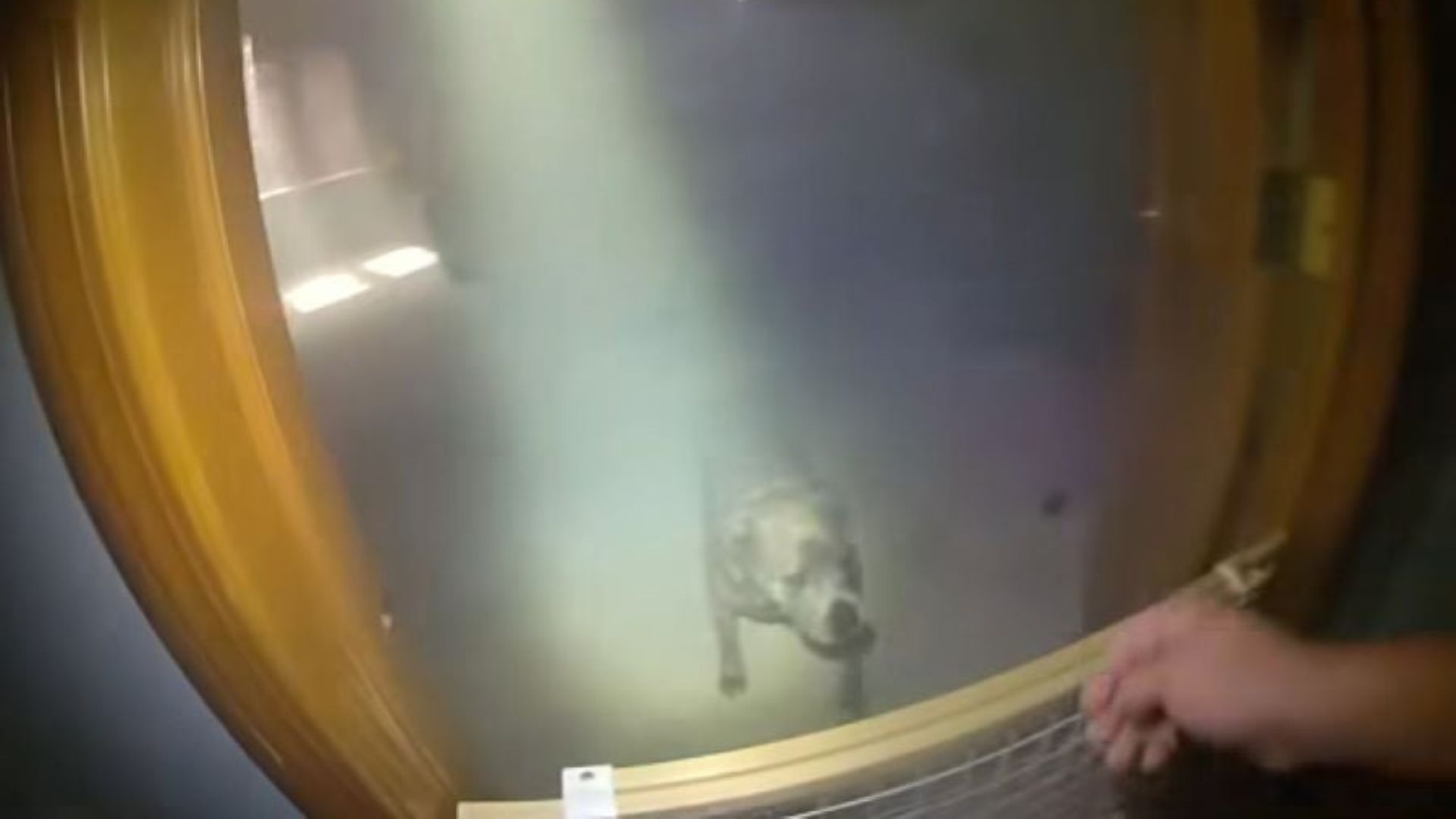 Illinois Police Storm Burning House