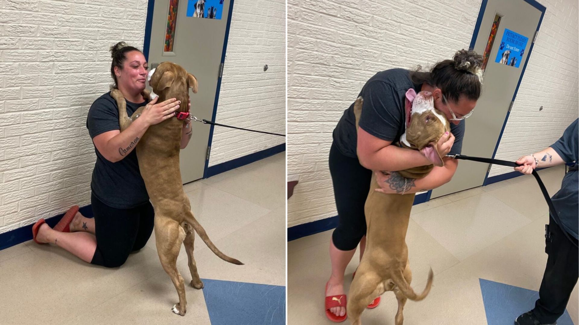 Indiana Woman’s World Shattered When Her Dog Disappeared, Then Came The Miracle Call