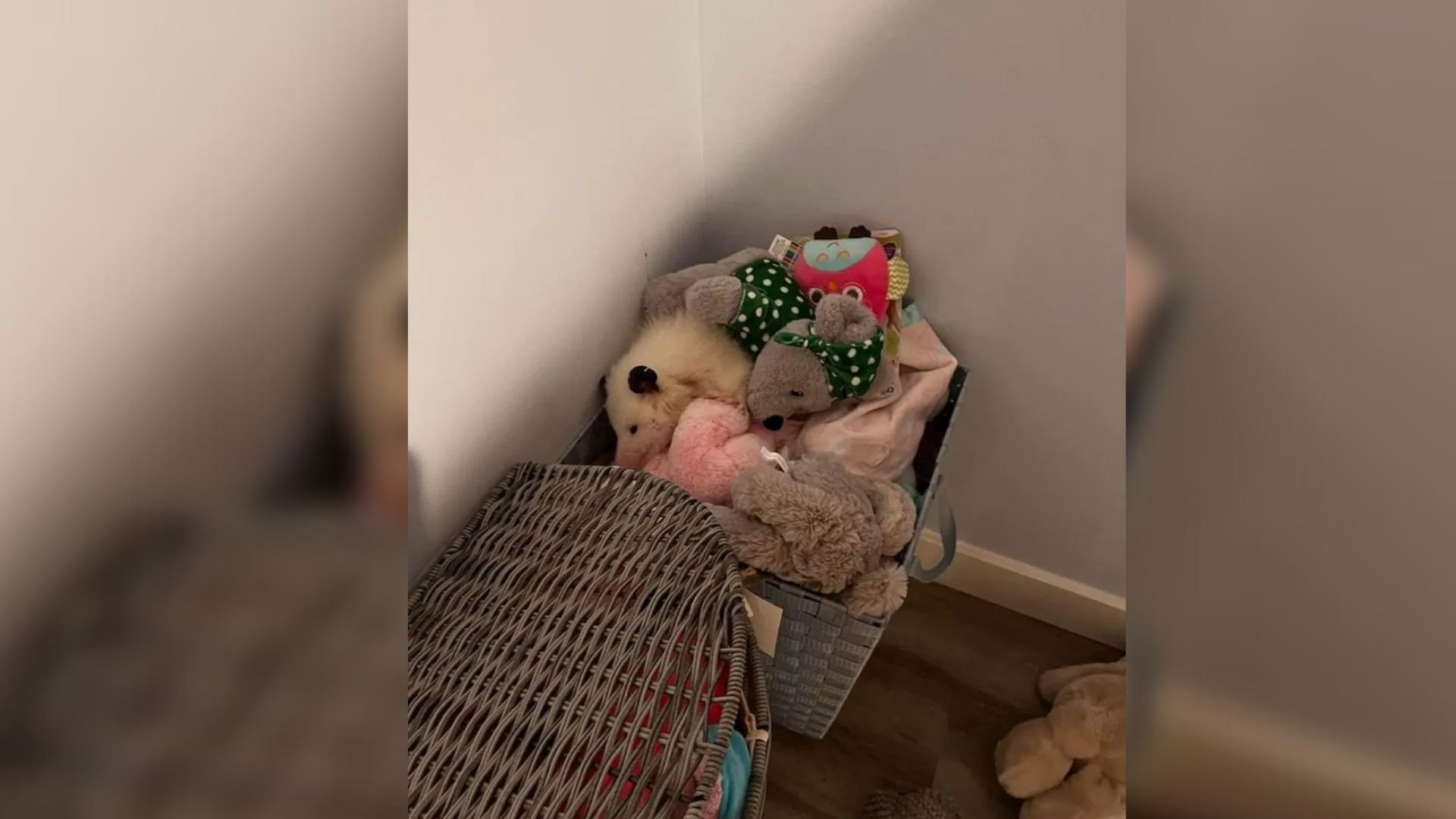 Kentucky Woman’s Encounter With A Moving Stuffed Animal Takes A Surprising Turn
