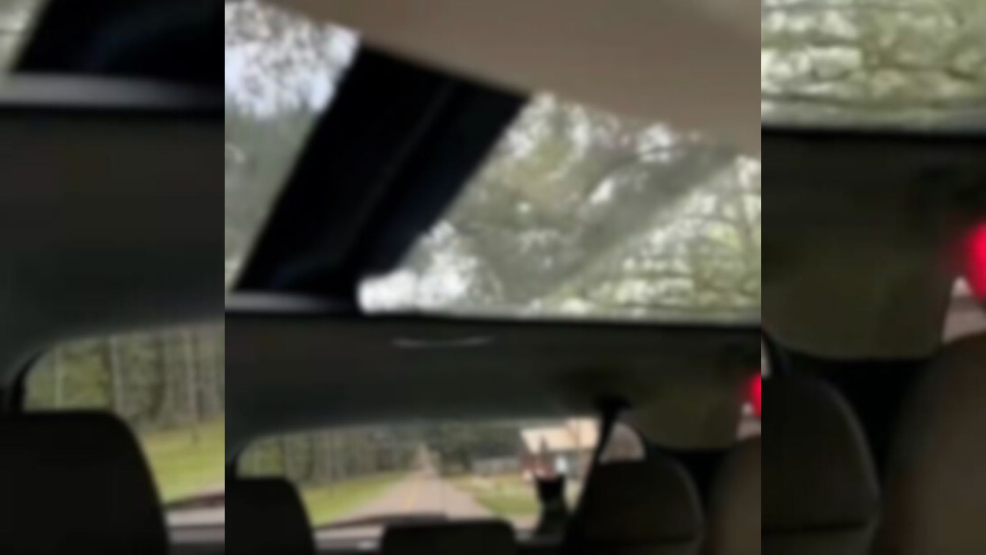 Louisiana Woman Freezes As A Tiny Stranger Appears In Her Rearview Mirror