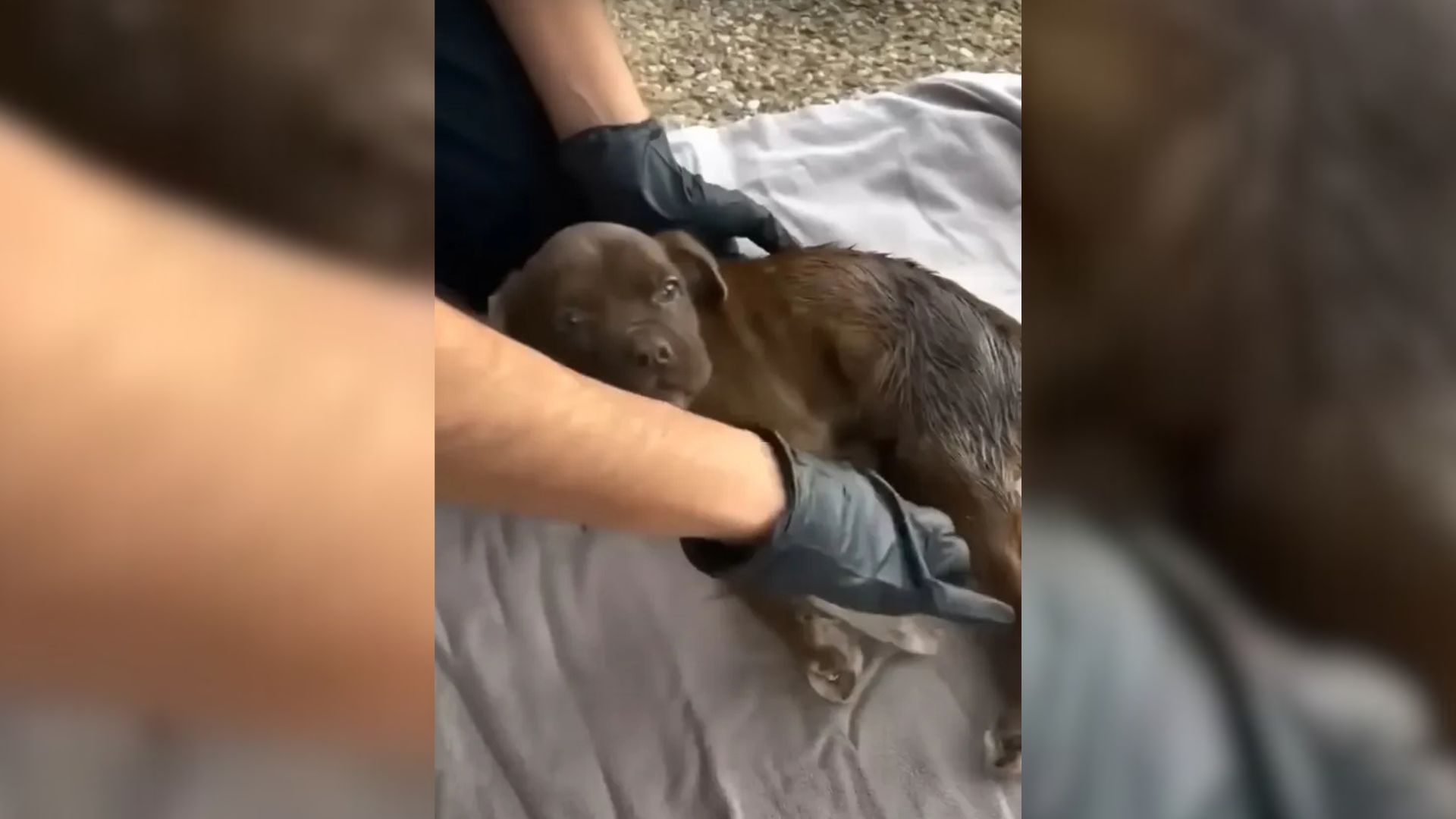 Man’s Texas Fishing Trip Turns Into A Rescue Mission After He Hears A Cry Beneath The Bridge