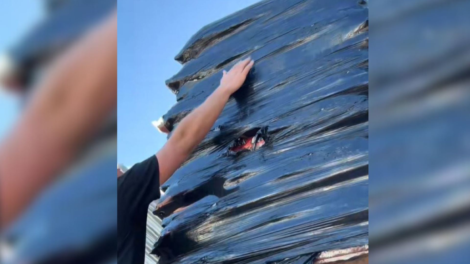 Michigan Man Tears Into Plastic Wrap In Store