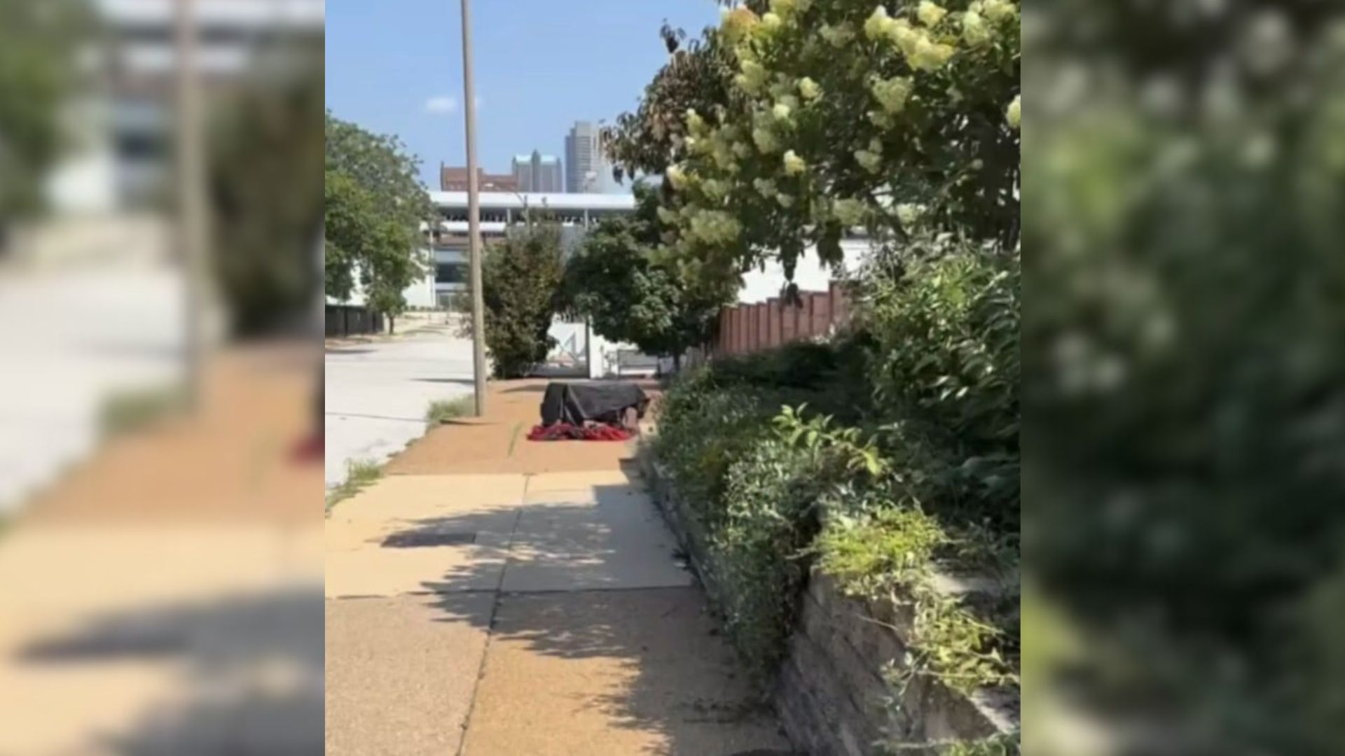 Missouri Rescuers Shocked By What They Found In An Abandoned Crate Covered With A Black Tarp