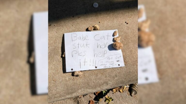 note on paper