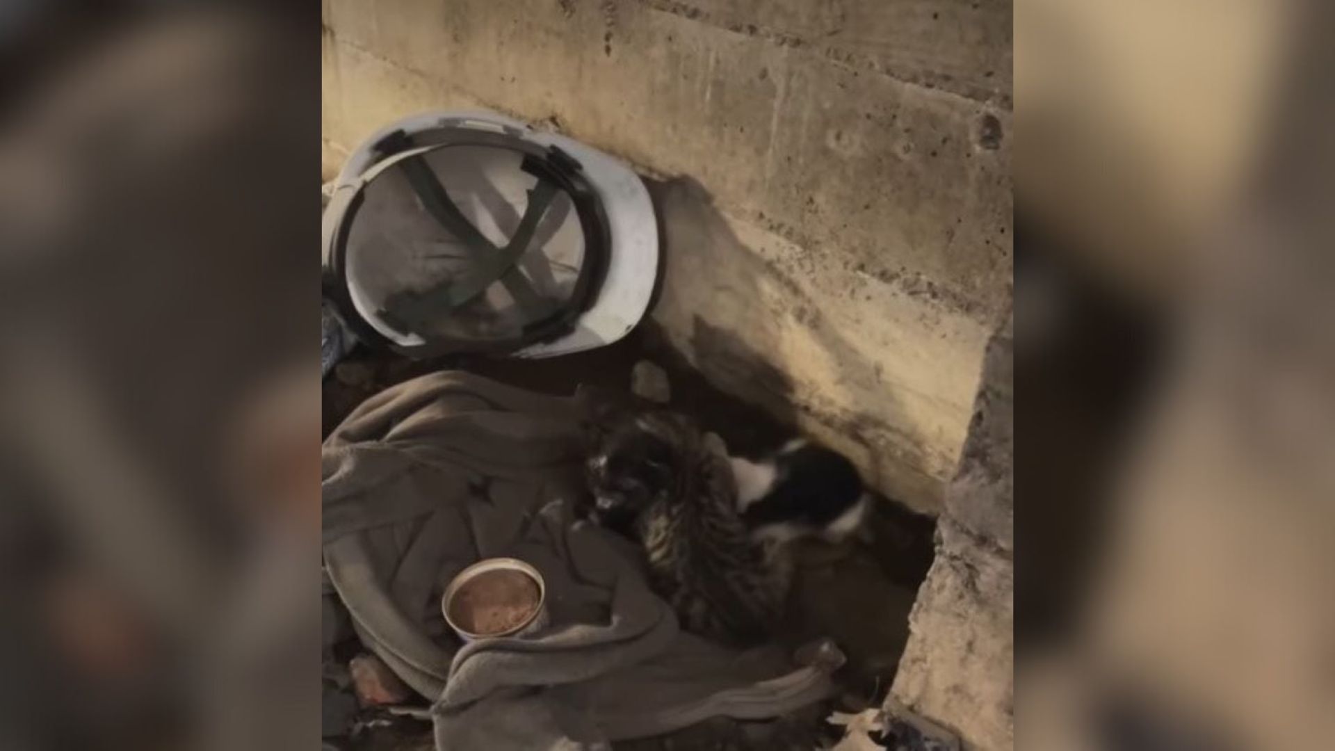 New York Crew Begins Routine Workday And Finds Something They Can’t Walk Away From