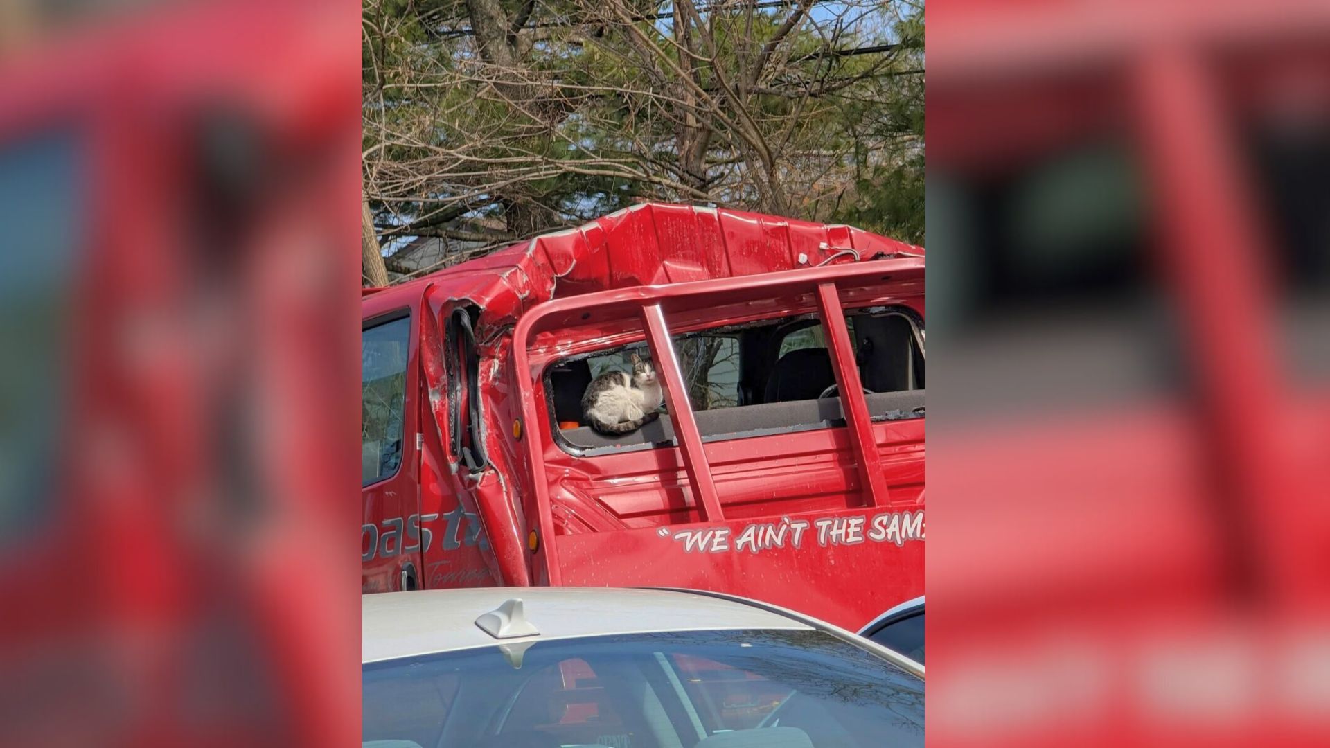 New York Demolition Crew Makes Heart-Stopping Discovery Hidden Inside Car Trunk