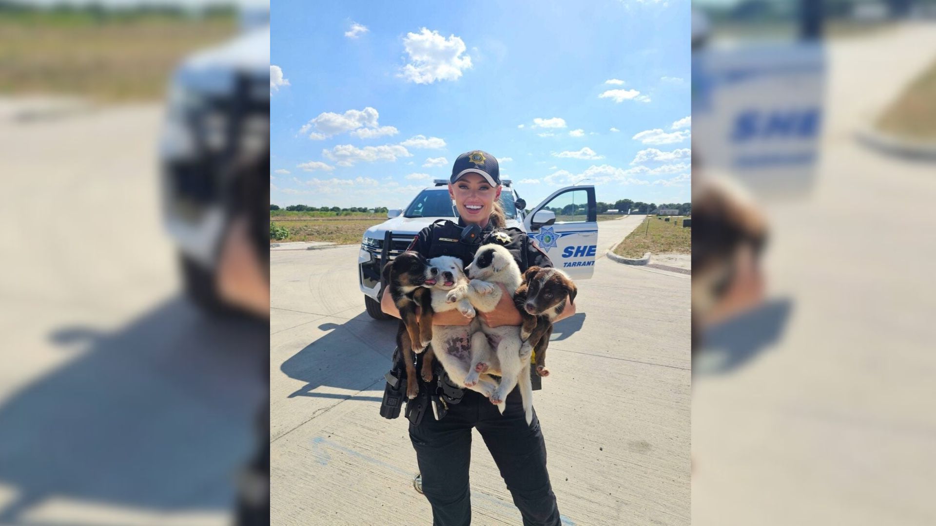 Officers Shocked To Find Seven More Puppies Hiding After One Appears In Texas Field