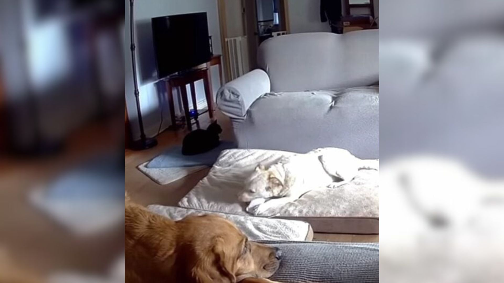 Oklahoma Firefighters Rush To Save A Home