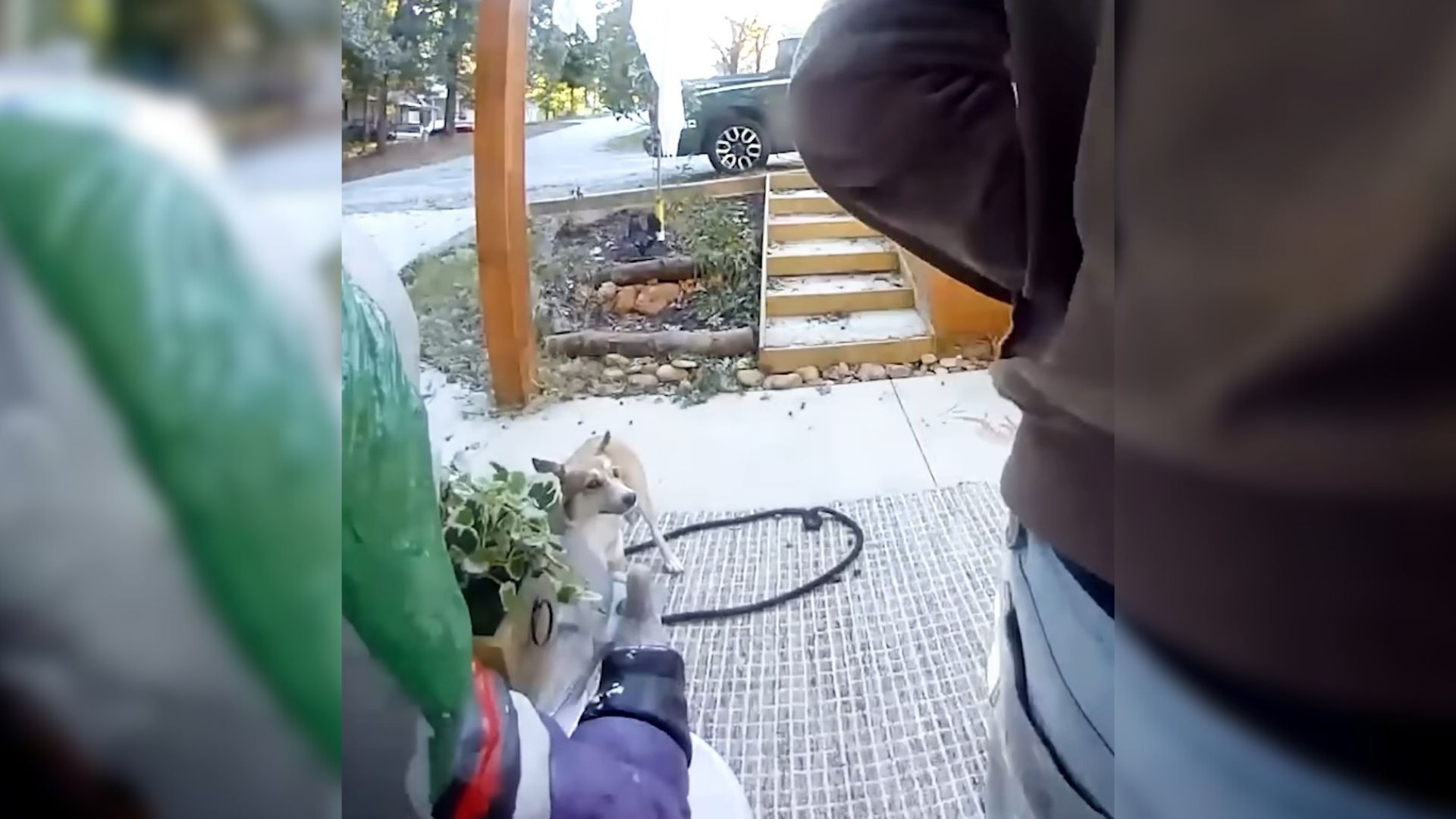 South Carolina Couple Spotted A ‘Coyote’ Following Them Home Only To Realize It Was Something Else Entirely