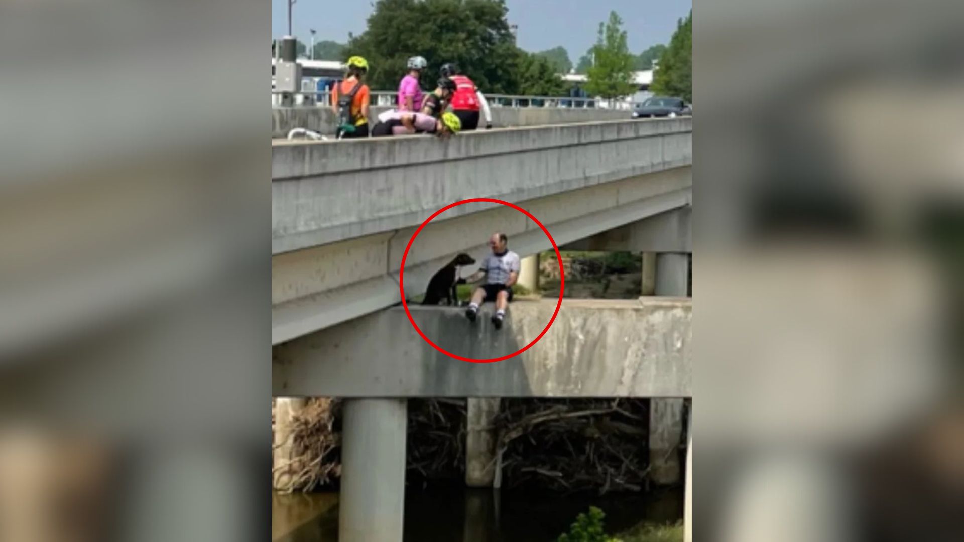 Texas Cyclists Stop For A Stranger On A Bridge And Discover A Terrified Dog Waiting For A Miracle