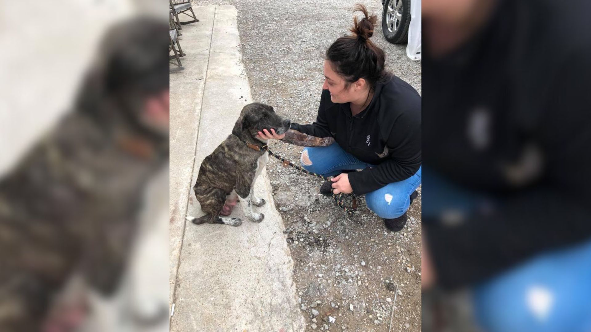 Texas Puppy Weighing Just One Pound Fights For His Life After Cruel Abandonment