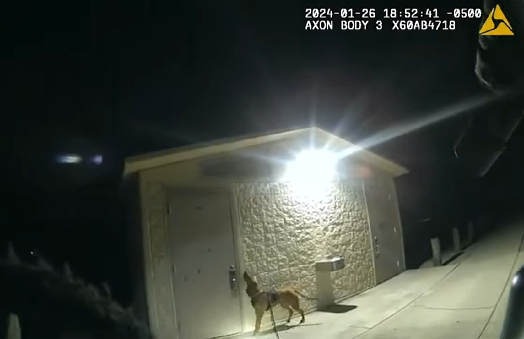 The dog barks at the door