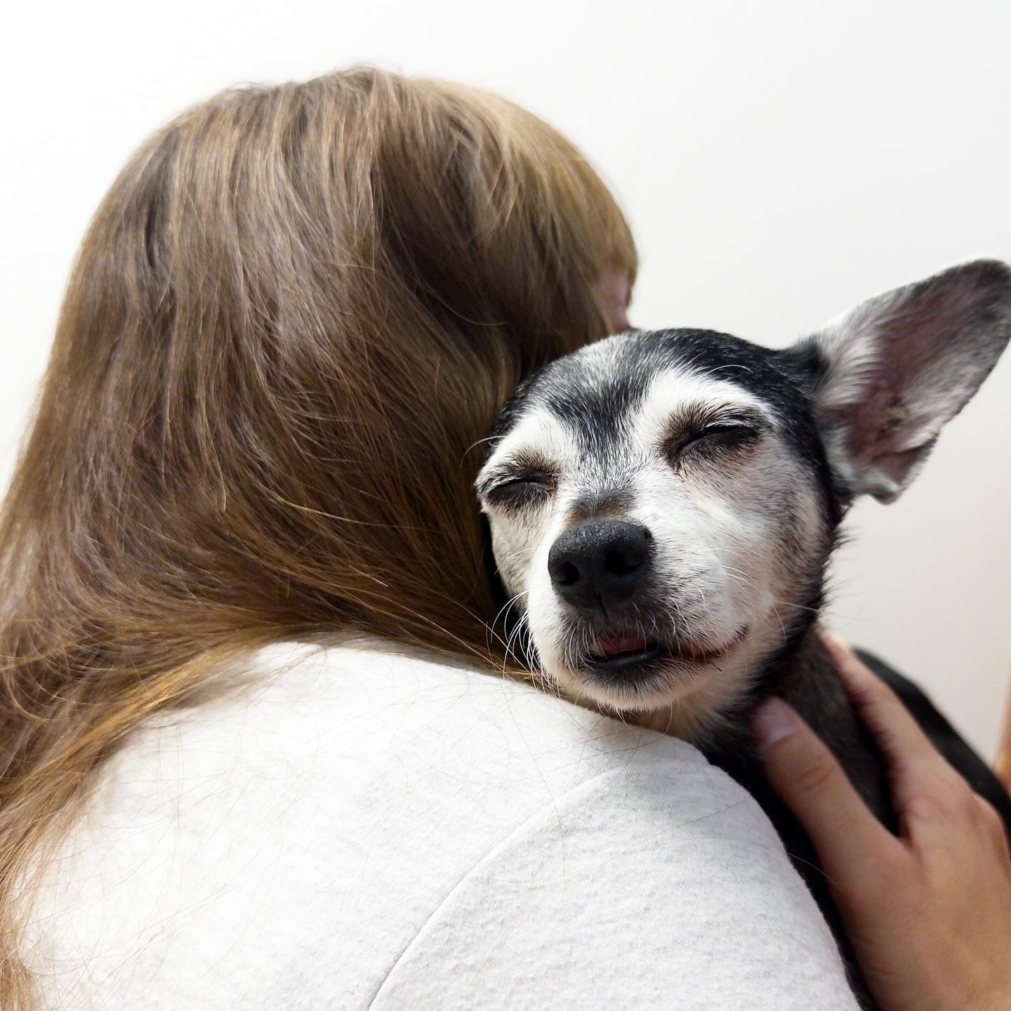 The dog enjoys being hugged by a woman